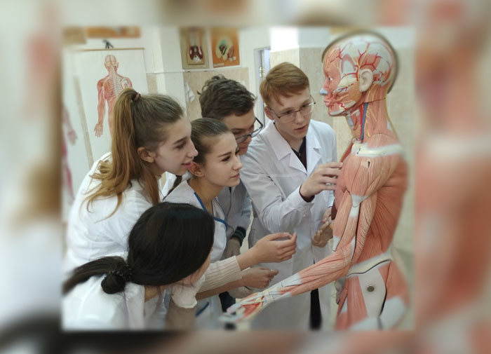 Летняя школа анатомии